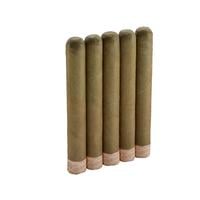 Rocky Patel The Edge Toro Candela 5 Pack                    